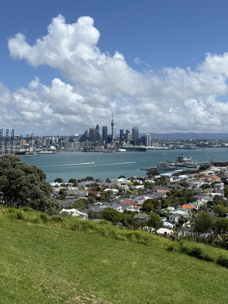 Image 12